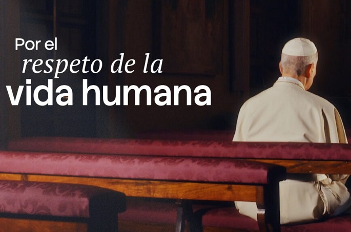 León XIV invita a rezar en julio por el respeto de la vida humana